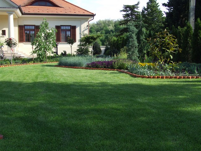 Méregzöld fű a gyepápolás és az öntözőrendszer segítségével DSCF2566.JPG